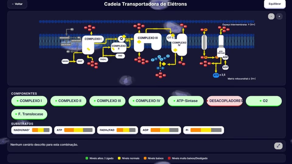 Cena da via Cadeia Transportadora no BioQBoard
