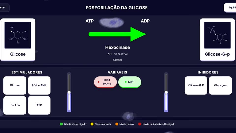 Cena da via Glicólise no BioQBoard