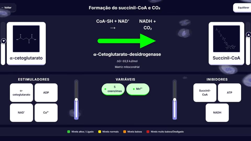 Cena da via Ciclo de Krebs no BioQBoard